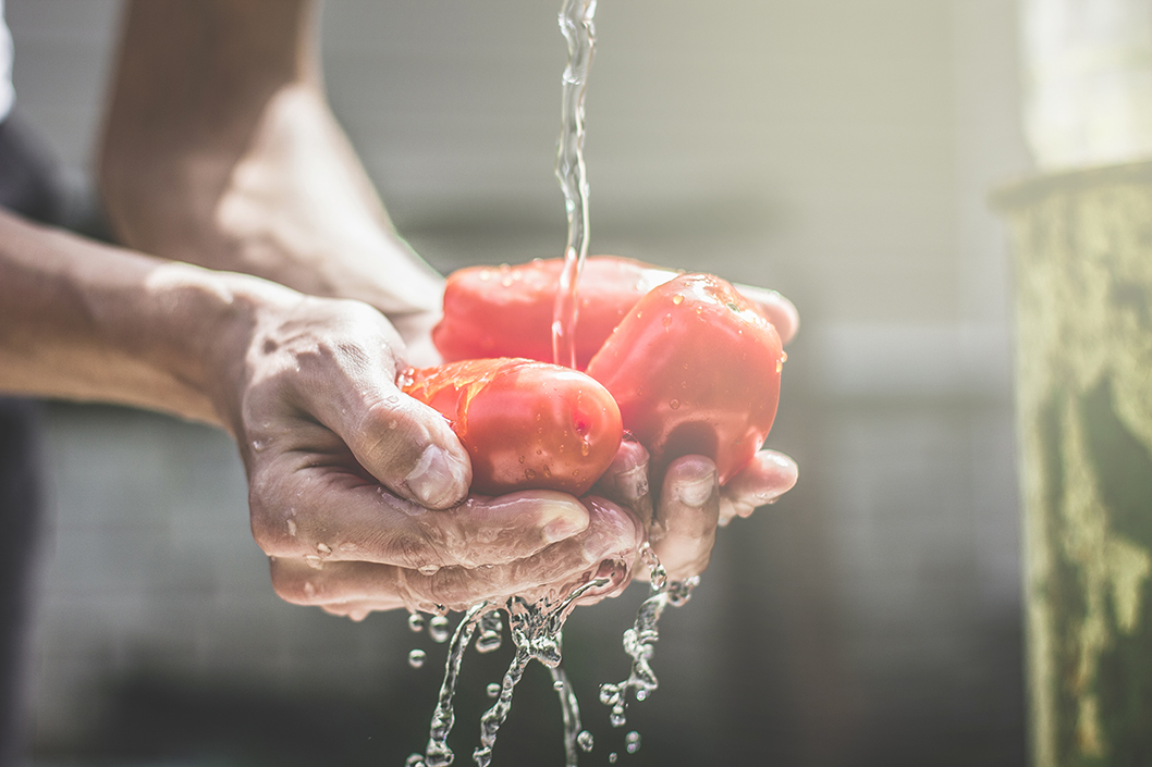 Tomaten im Garten gewaschen