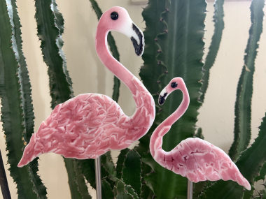 Flamingo klein
