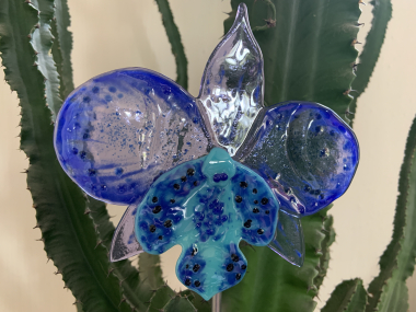 Orchidee lila/blau