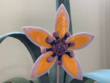 Blume lila/orange