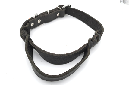 Fettlederhalsband mit Haltegriff schwarz