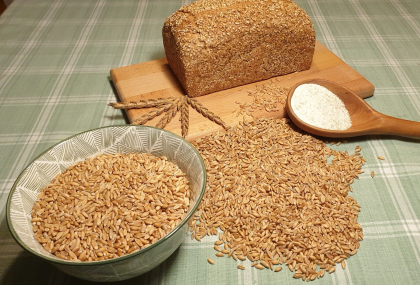 Oldenburger Bio-Dinkelkorn "Flauder", 5 kg im Papiersack