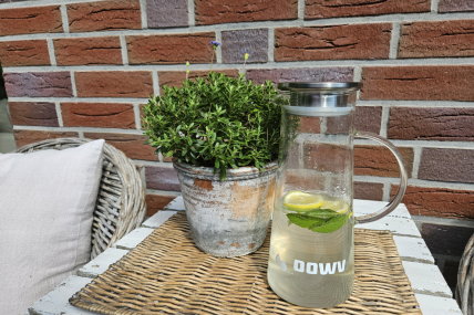 Glaskaraffe mit Edelstahldeckel "OOWV"