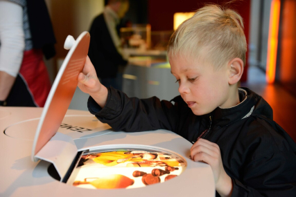 20 % Rabatt auf den regulären Eintritt im Varusschlacht-Museum Kalkriese