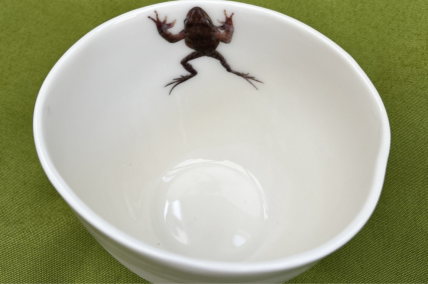 Porzellan Schale mit Frosch