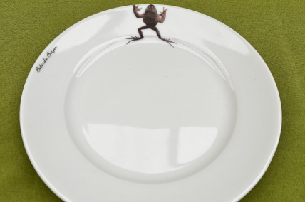 Teller mit Frosch