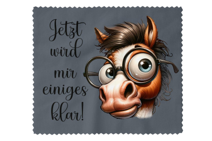 Brillenputztuch - Objektivtuch Jetzt wird mir einiges Klar! Pferd