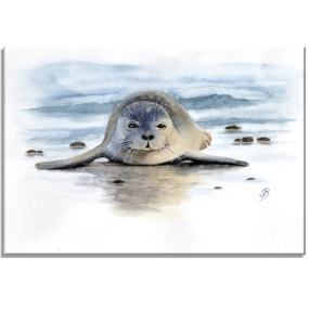 Aquarell Bild Keilrahmen Leinwand 30x20 cm Seehund Robbe Strand DK11