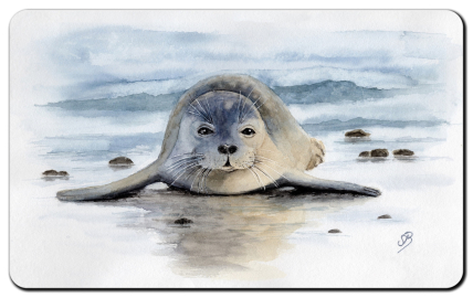 Aquarell Brettchen Frühstücksbrettchen Seehund Robbe Heuler DK11