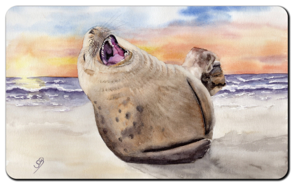 Aquarell Brettchen Frühstücksbrettchen Seehund Robbe Kegelrobbe DK24