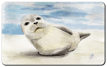 Aquarell Brettchen Frühstücksbrettchen Seehund Robbe Heuler DK56