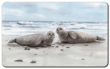 Aquarell Brettchen Frühstücksbrettchen Seehund Robbe Heuler DK78B