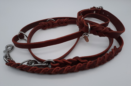 Set Leine und Halsband rostrot
