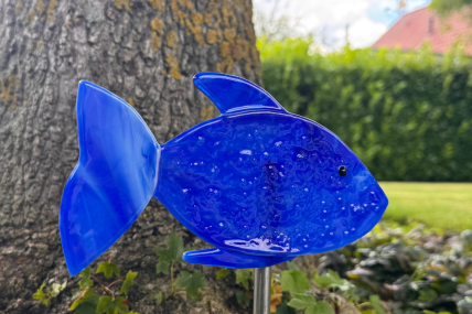 Fisch blau