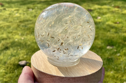 Magische Pusteblume in Epoxidharz - Handgefertigter Briefbeschwerer Klein Blütensamen