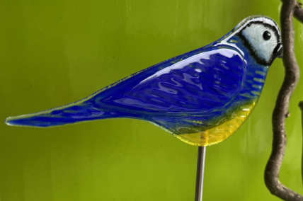 Vogel Blaumeise