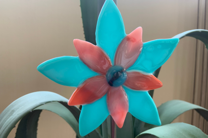 Blume Blau/Rosa