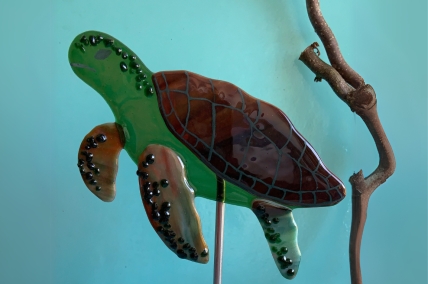 Schildkröte
