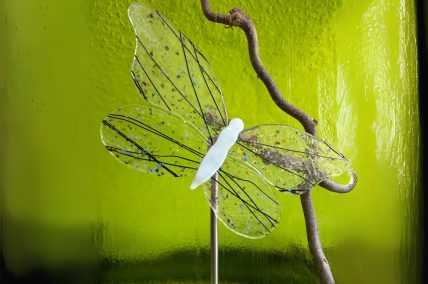Schmetterling 