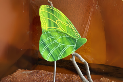 Schmetterling Grün