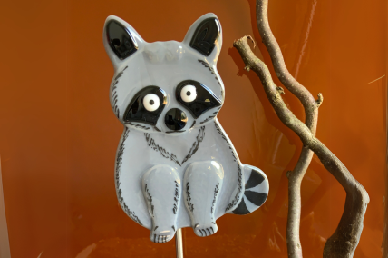 Waschbär
