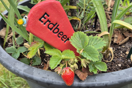Beetgeflüster Erdbeer