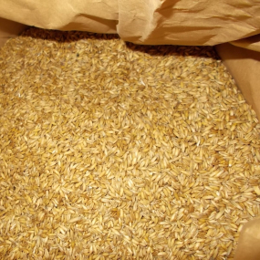 Haferkorn (Nackthafer) 5 kg im Papiersack