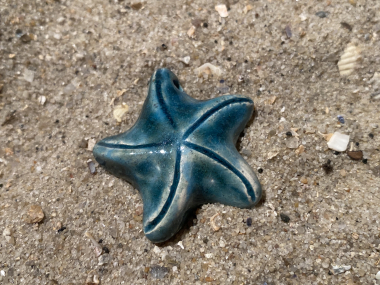 Seestern-türkis glänzend