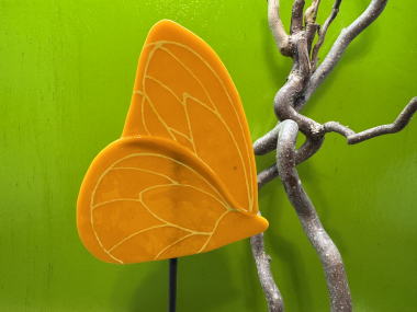 Schmetterling Orange