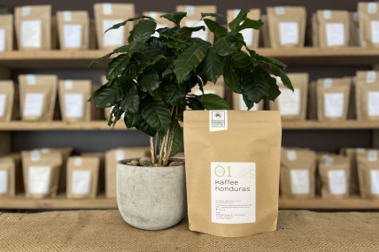 Kaffee Honduras No.01