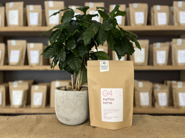 Kaffee Kenia No.04