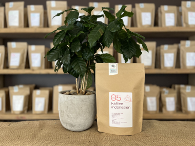 Kaffee Indonesien No.05