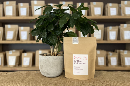 Kaffee Indonesien No.05
