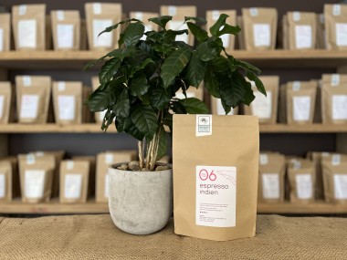 Espresso Indien No.06
