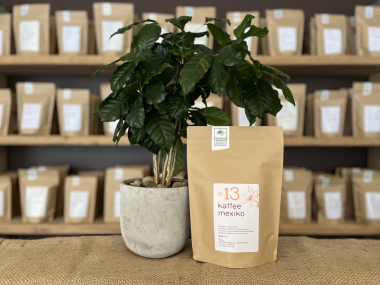 Kaffee Mexiko No.13