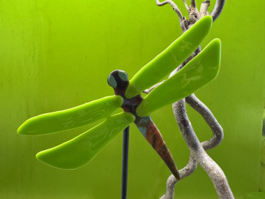 Libelle Grün
