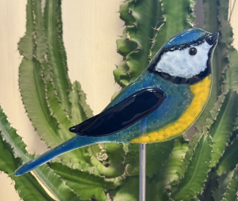 Vogel Blaumeise