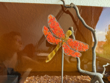 Libelle Orange