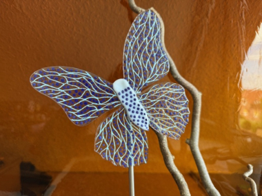 Schmetterling Blau