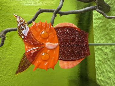 Eule Orange