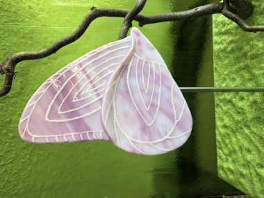 Schmetterling Rosa