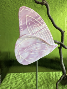 Schmetterling Rosa