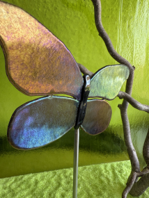 Schmetterling Schimmer