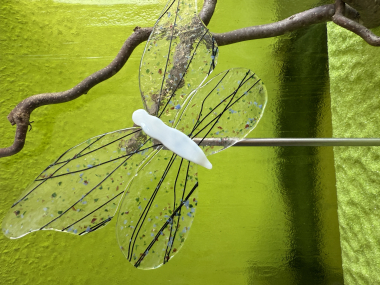 Schmetterling 