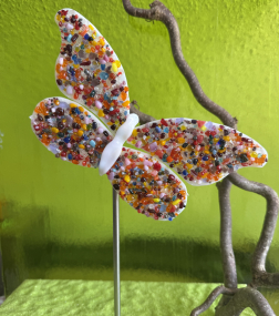 Schmetterling bunt
