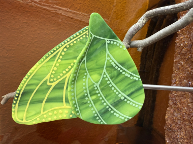 Schmetterling Grün