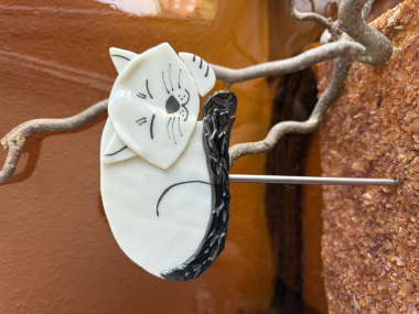 Katze weiß