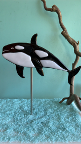 Orca