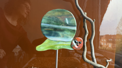 Schnecke Grün