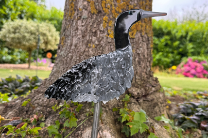 Kranich Schwarz